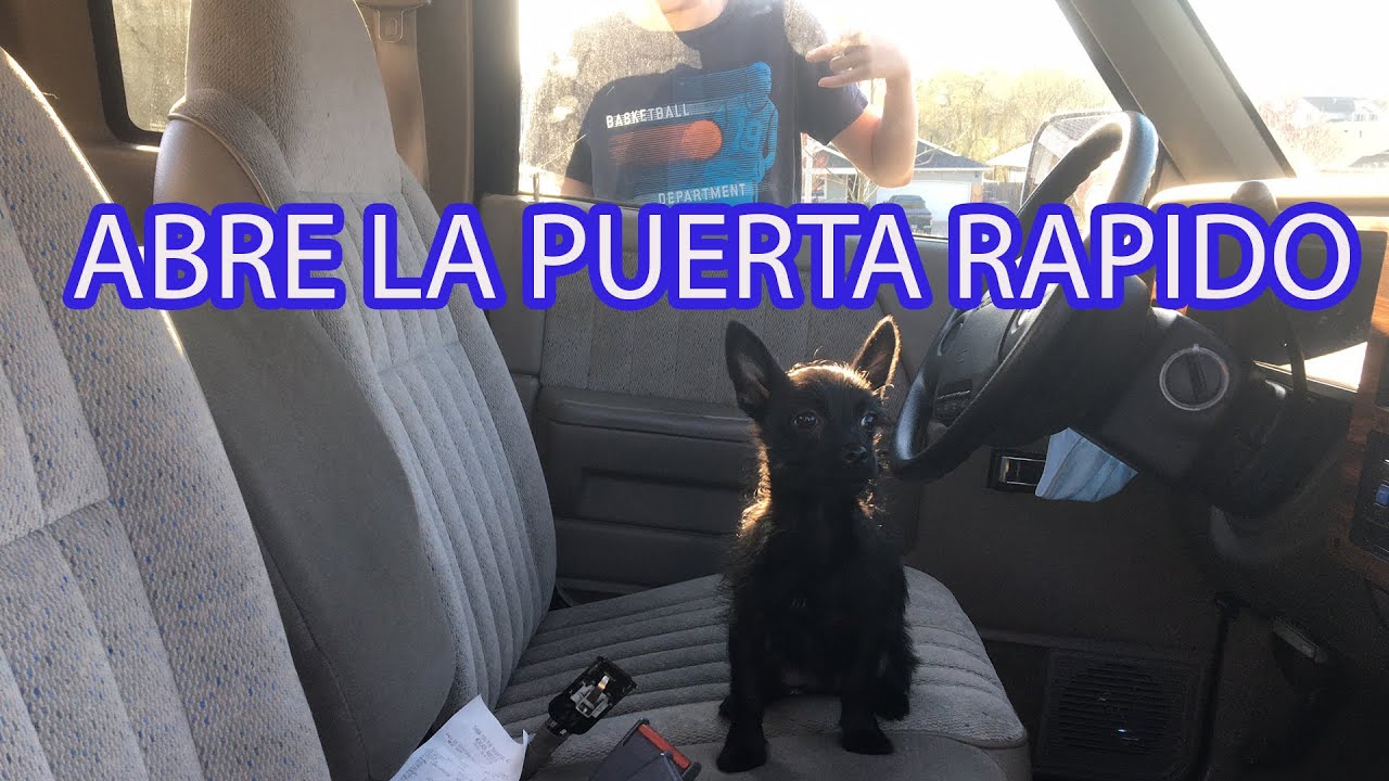 COMO ABRIR PUERTA DE CARRO SIN  LAS LLAVES #1