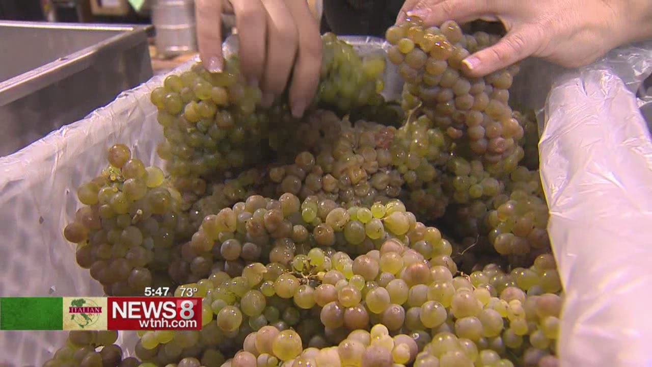 Family-owned Wine Press teaches art of wine making