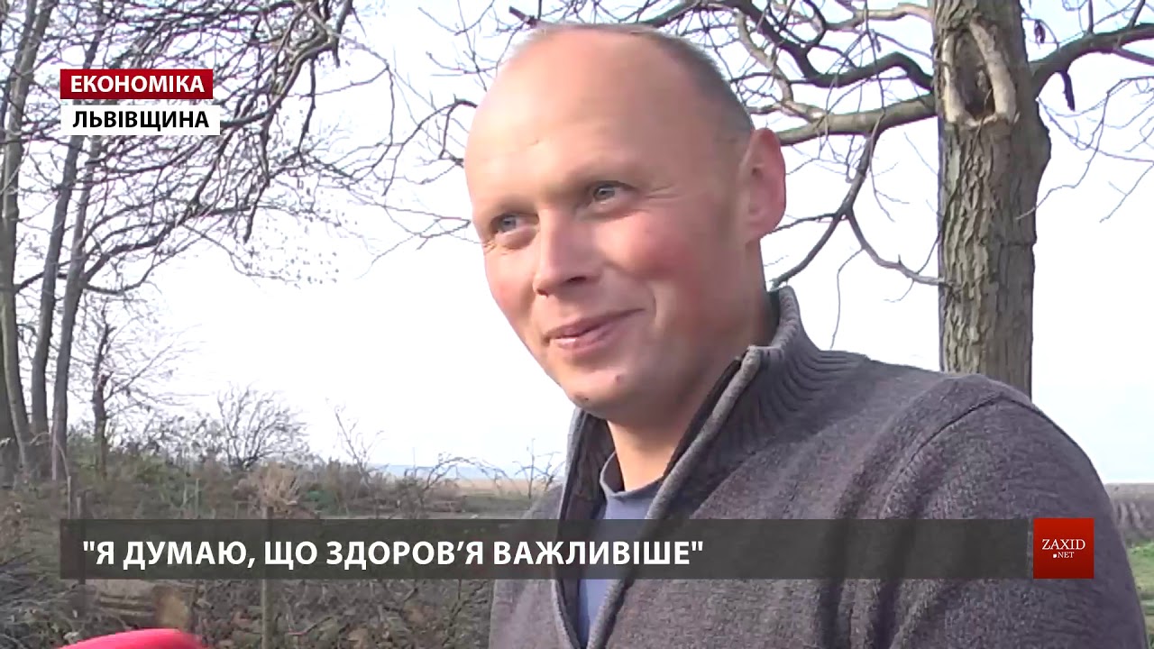 На трасі Київ-Чоп місцевий підприємець відкрив три магазини самообслуговування