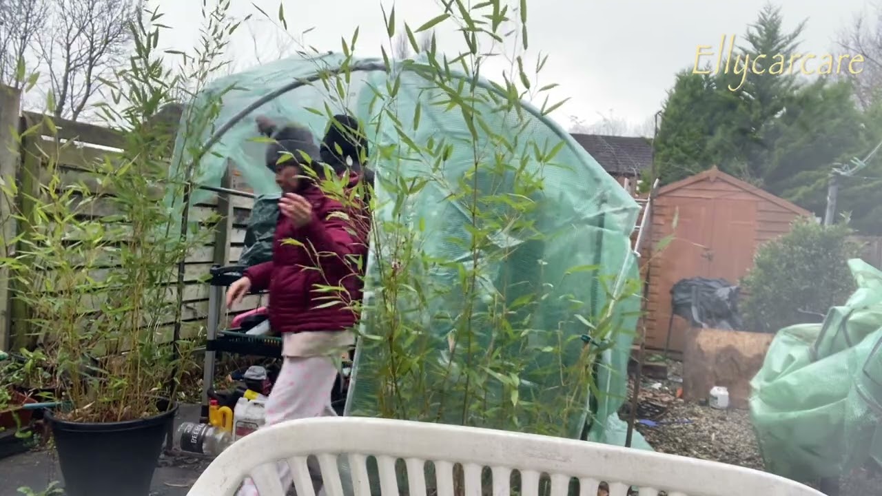 Changed mini green house covering 