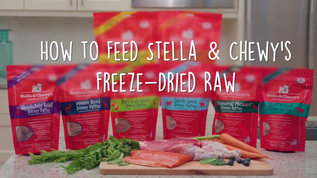 How to Feed Stella & Chewy's Freeze Dried Raw Patties Dog Food
