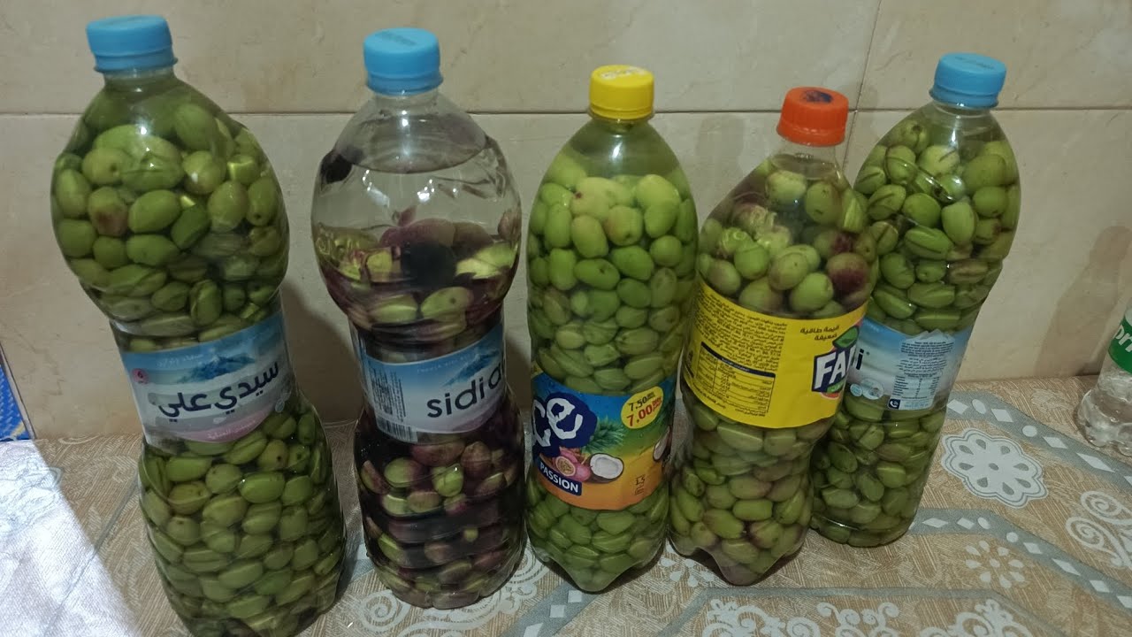 افتتاحيات القنات ...