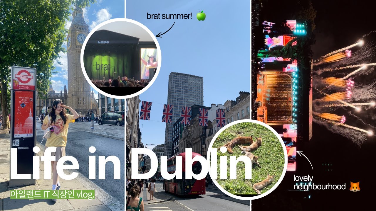 아일랜드 IT직장인vlog🇮🇪 우리집엔 여우가 산다🦊런던만 올해 4번 명예런더너🇬🇧찰리xcx,사브리나 콘서트 도파민 충전🪩아일랜드 해안가 마을 산책🌊우연히 물개 보기?!🦭책 추천📚