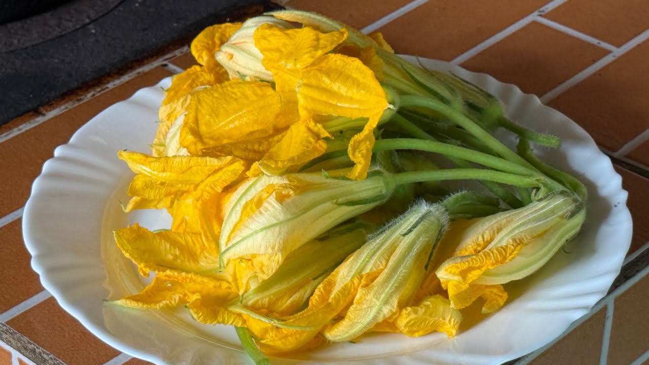 JA COMERAM FLOR DE ABÓBORA ?! 