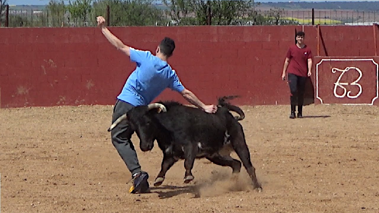 CAPEA con DOS VACAS en la finca LÓPEZ BAYO 2022