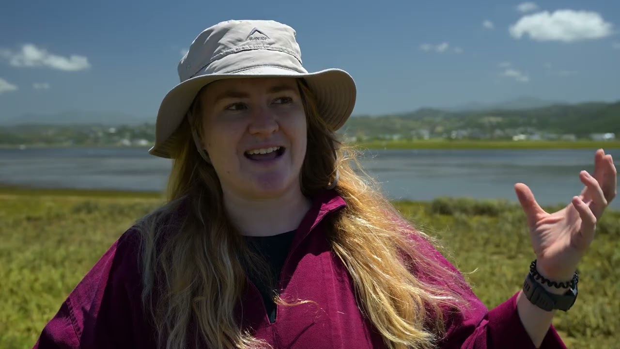 Protecting Knysna’s Seagrass: A Nature-Based Solution to Pollution