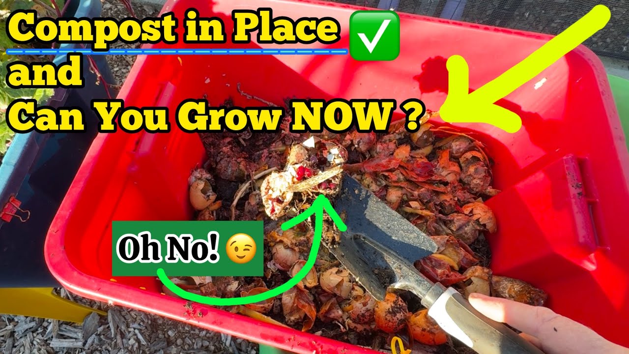 How to Setup a Raised Bed Small Space Garden Tote & Compost in Place with NO TURN Trickle Fertilizer