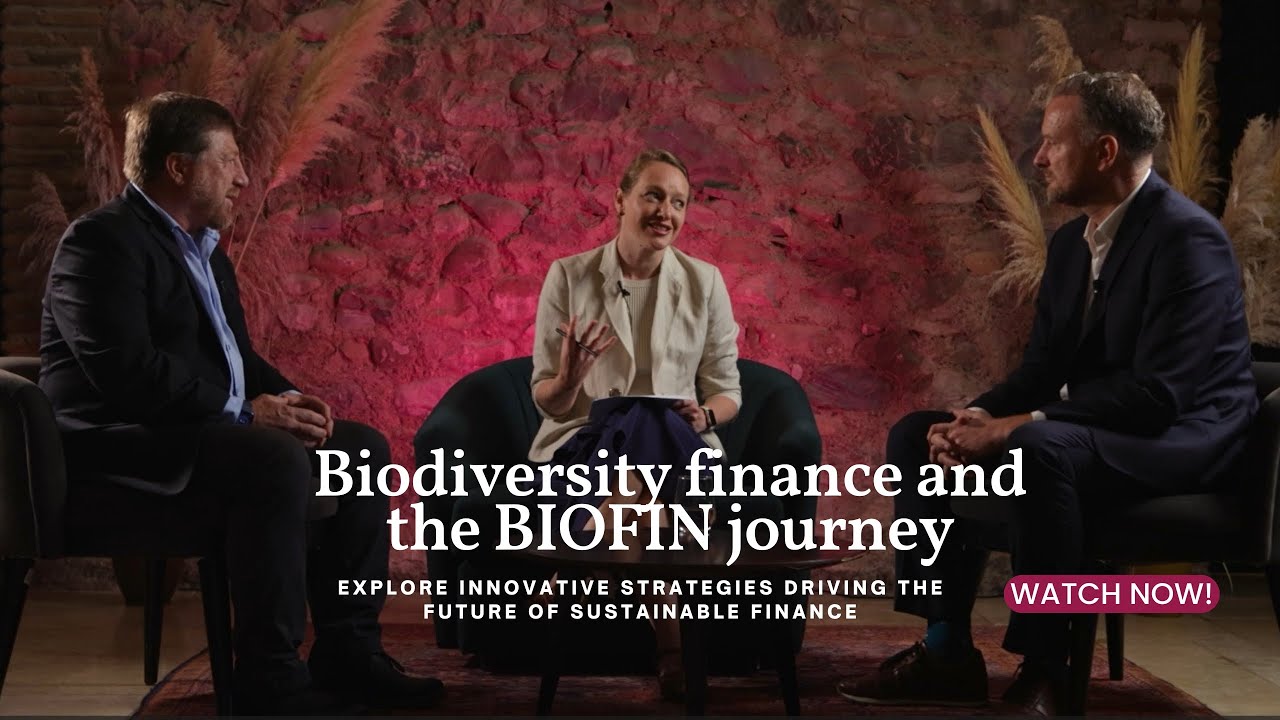 Biodiversity finance and the BIOFIN journey