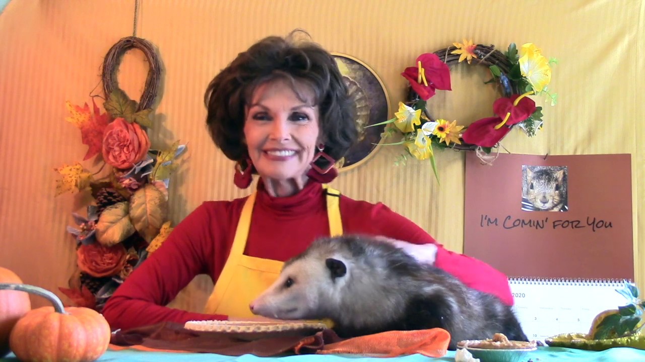 Proper Possum Pumpkin Pies