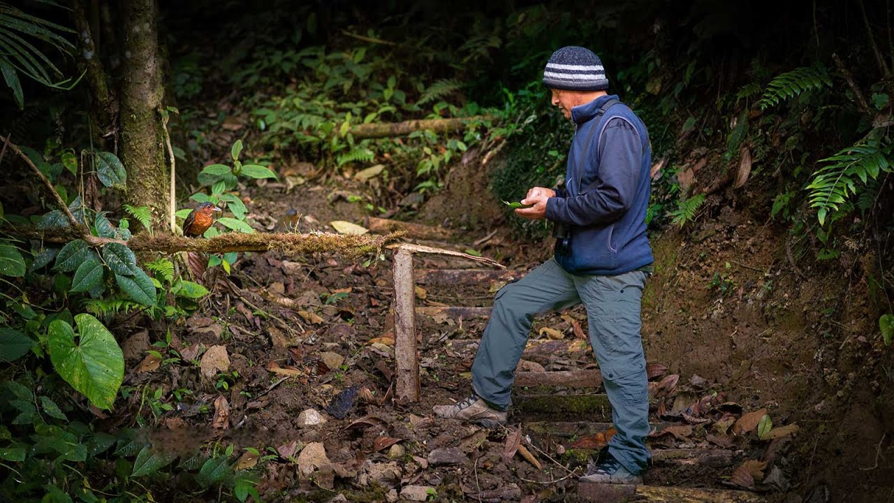 bird watching and photography in  Mindo | Ecuador