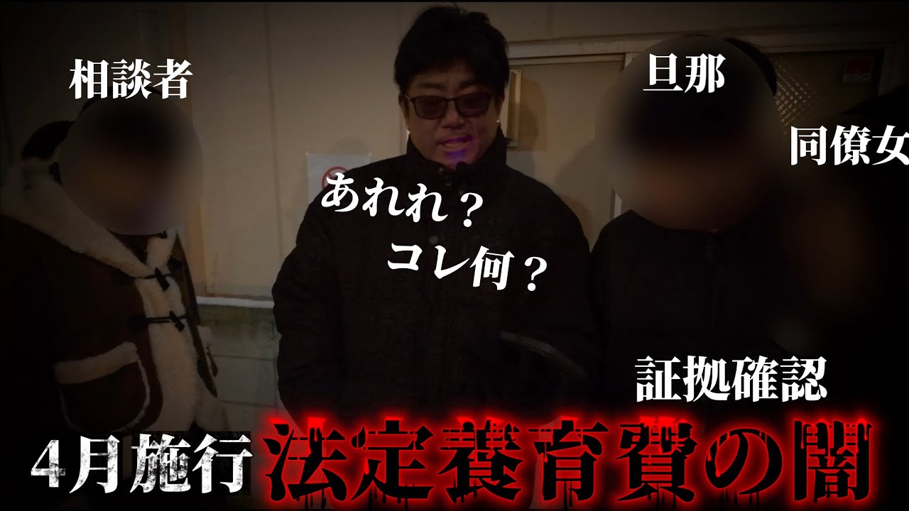 後日談⚠️民法改正【法定養育費の闇】