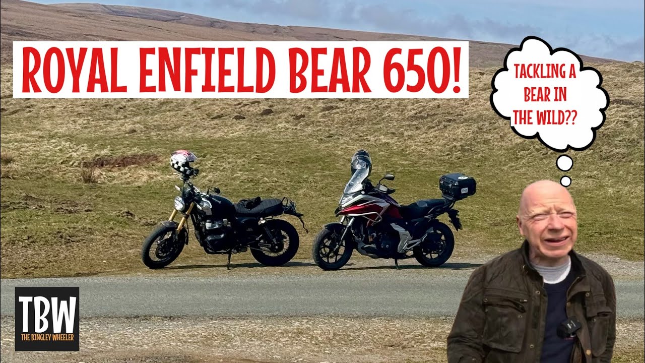 Royal Enfield Bear 650 - A Review from the Heart!