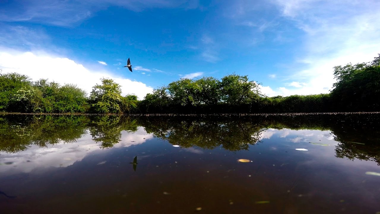 NORFOLK FARM POND RESTORATION PROJECT
