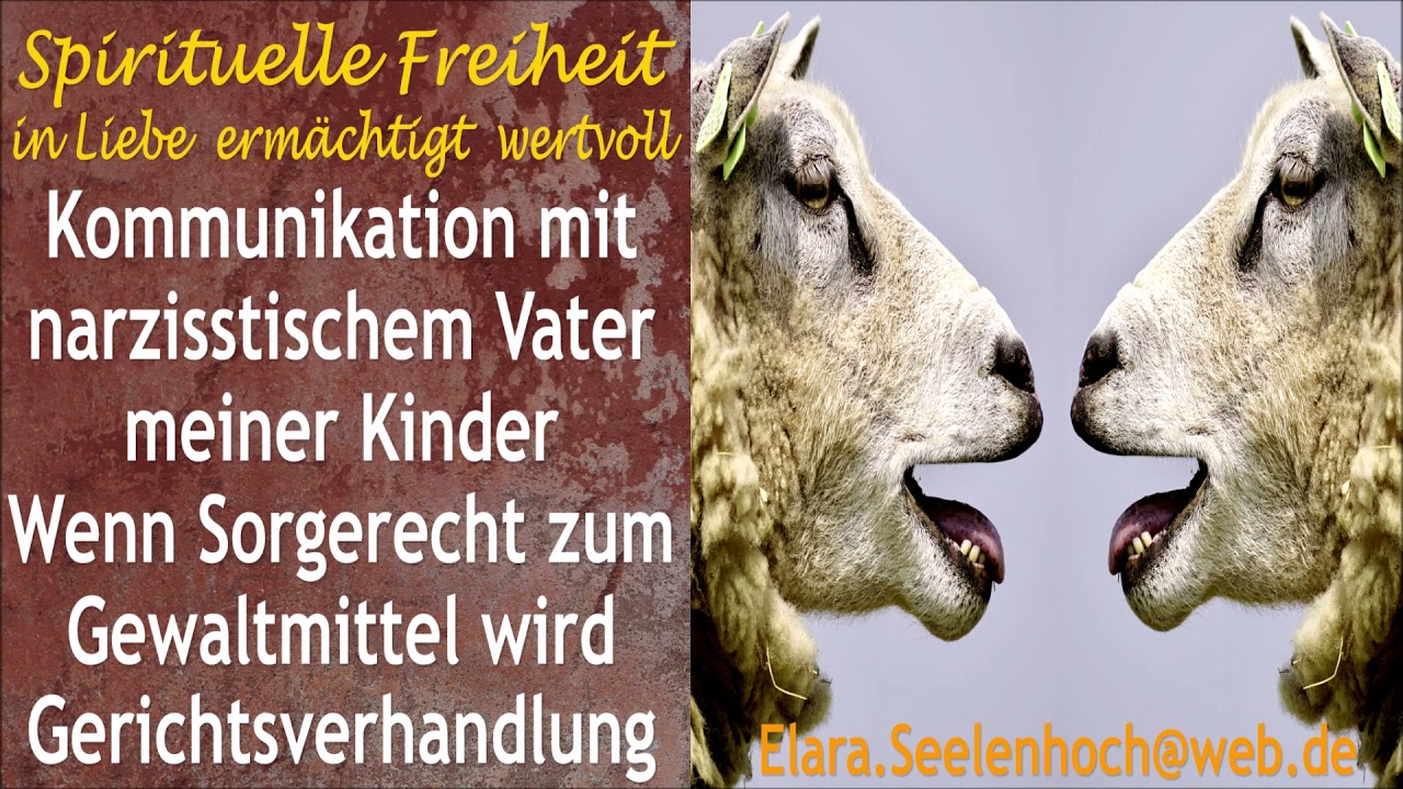 Kommunikation mit narzisstischem Vater meiner Kinder Sorgerecht als Gewaltmittel Gerichtsverhandlung