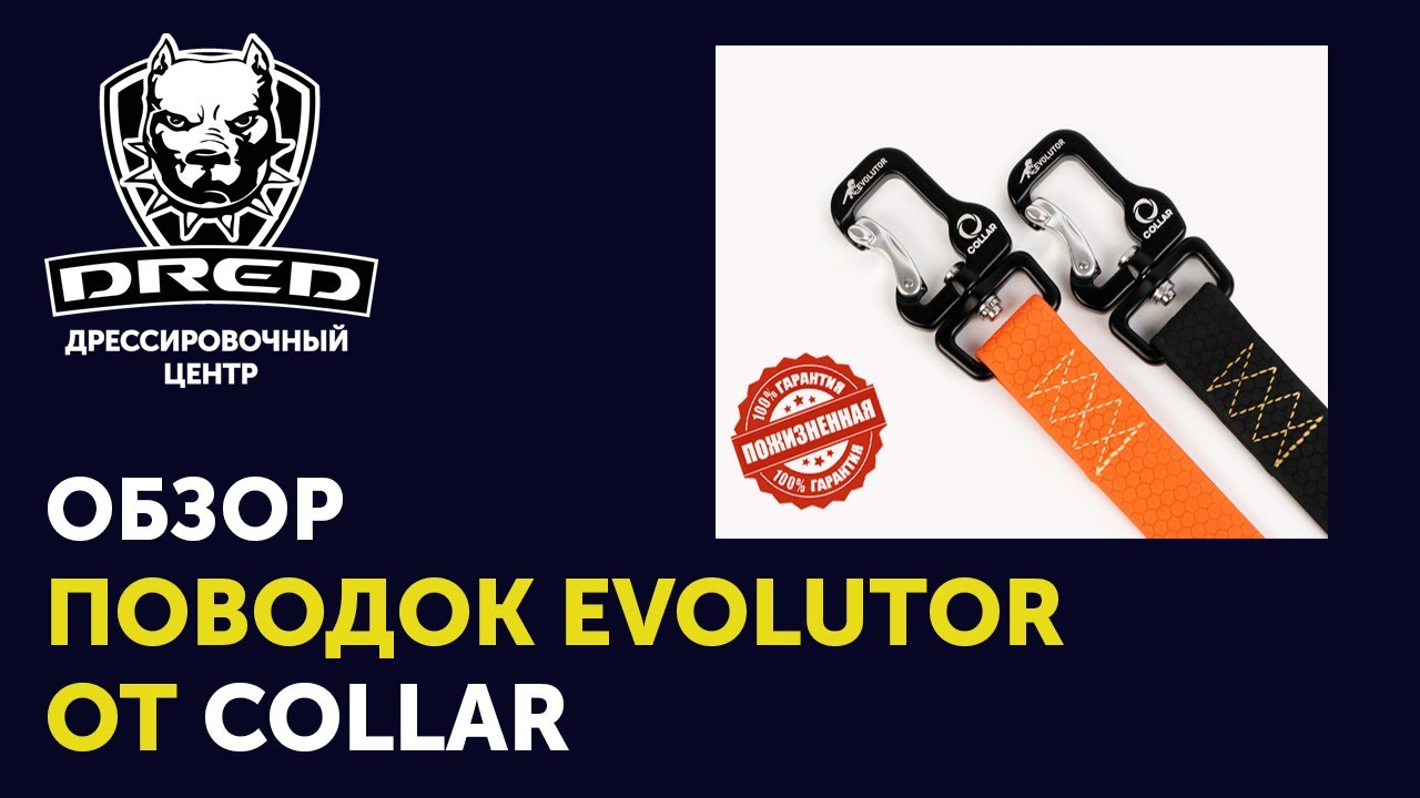 Самый честный обзор | Поводок EVOLUTOR от Collar