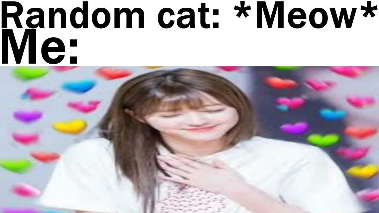 Wholesome Memes To Warm Your Heart
