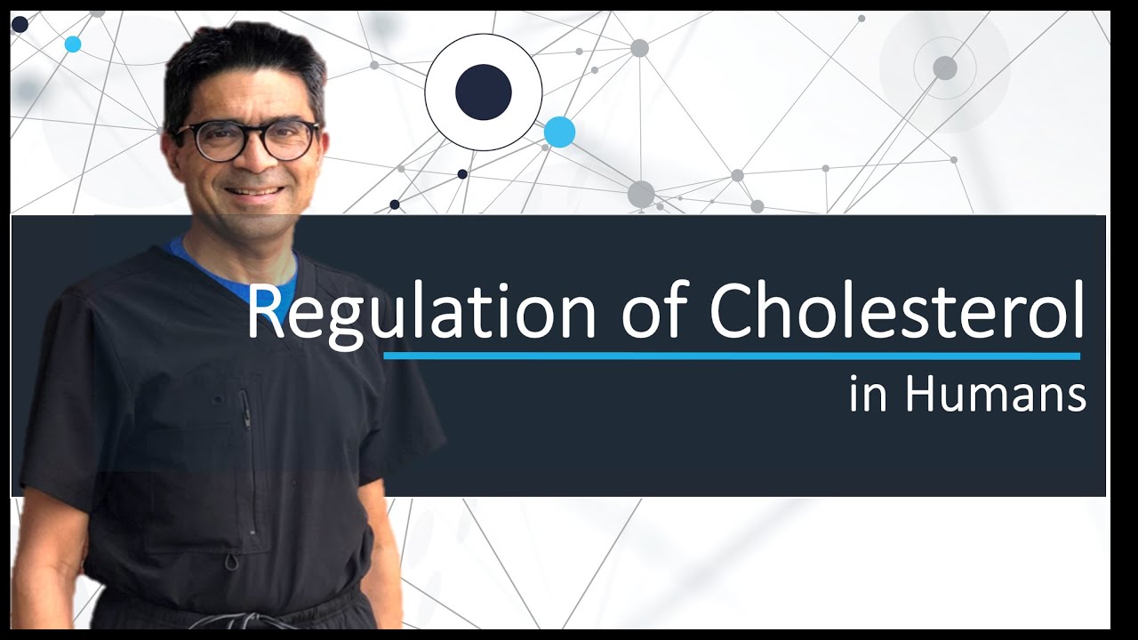 Regulation of Cholesterol in Humans 