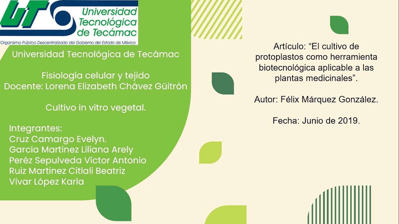 Cultivo de protoplastos
