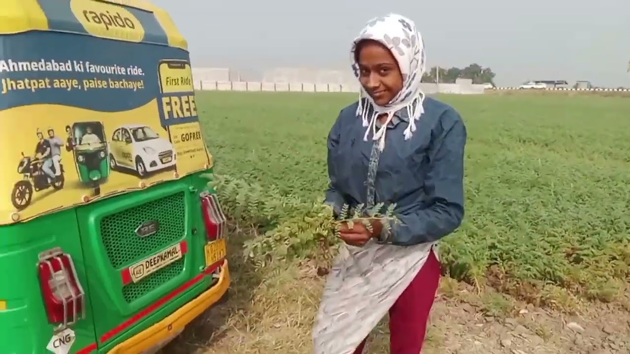 #અમે આવીયાશી આંબા નિદવા#videos  