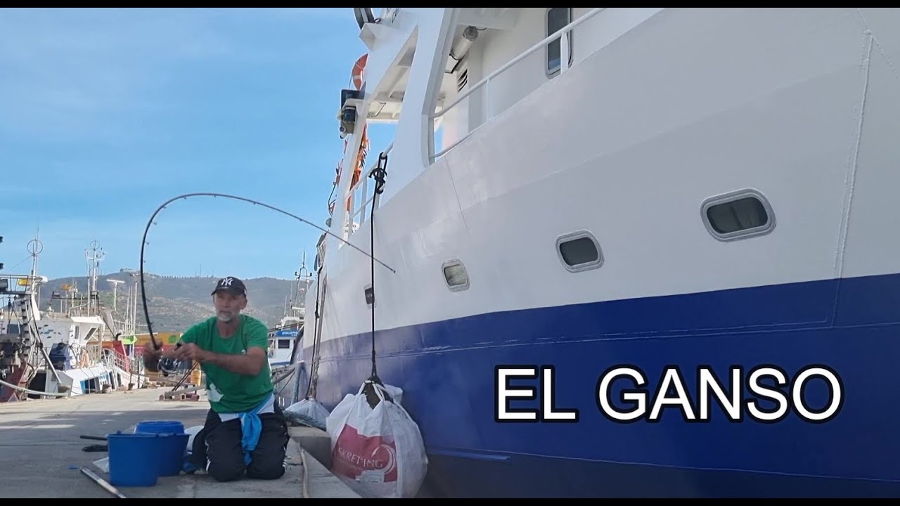 LA PESCA DEL SARGO