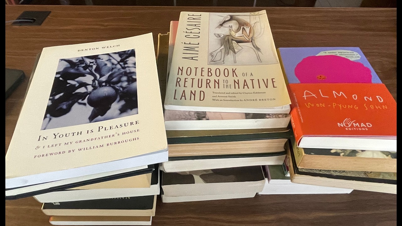 Winter Book Haul 2026 | 20 Books New & Used