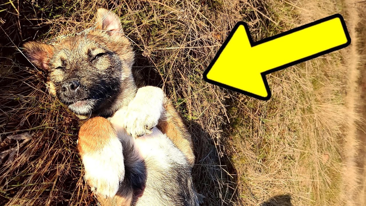 He Cried For Help and Couldn't Move Until Someone Finally Heard Him