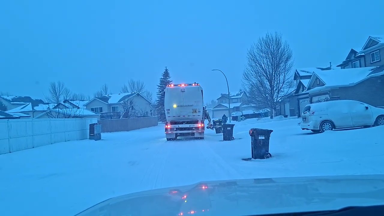 Garbage picking #-20c #snowy morning 