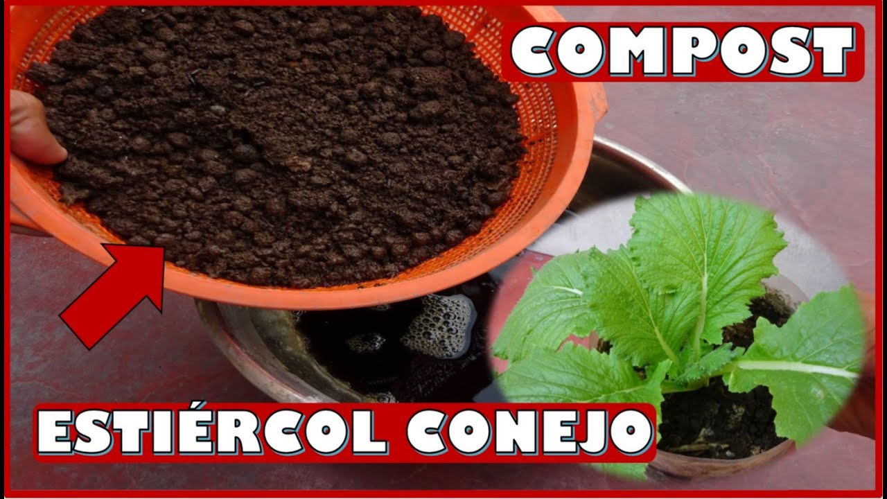 APRENDE A ELABORAR COMPOST CON ESTIERCOL DE CONEJO