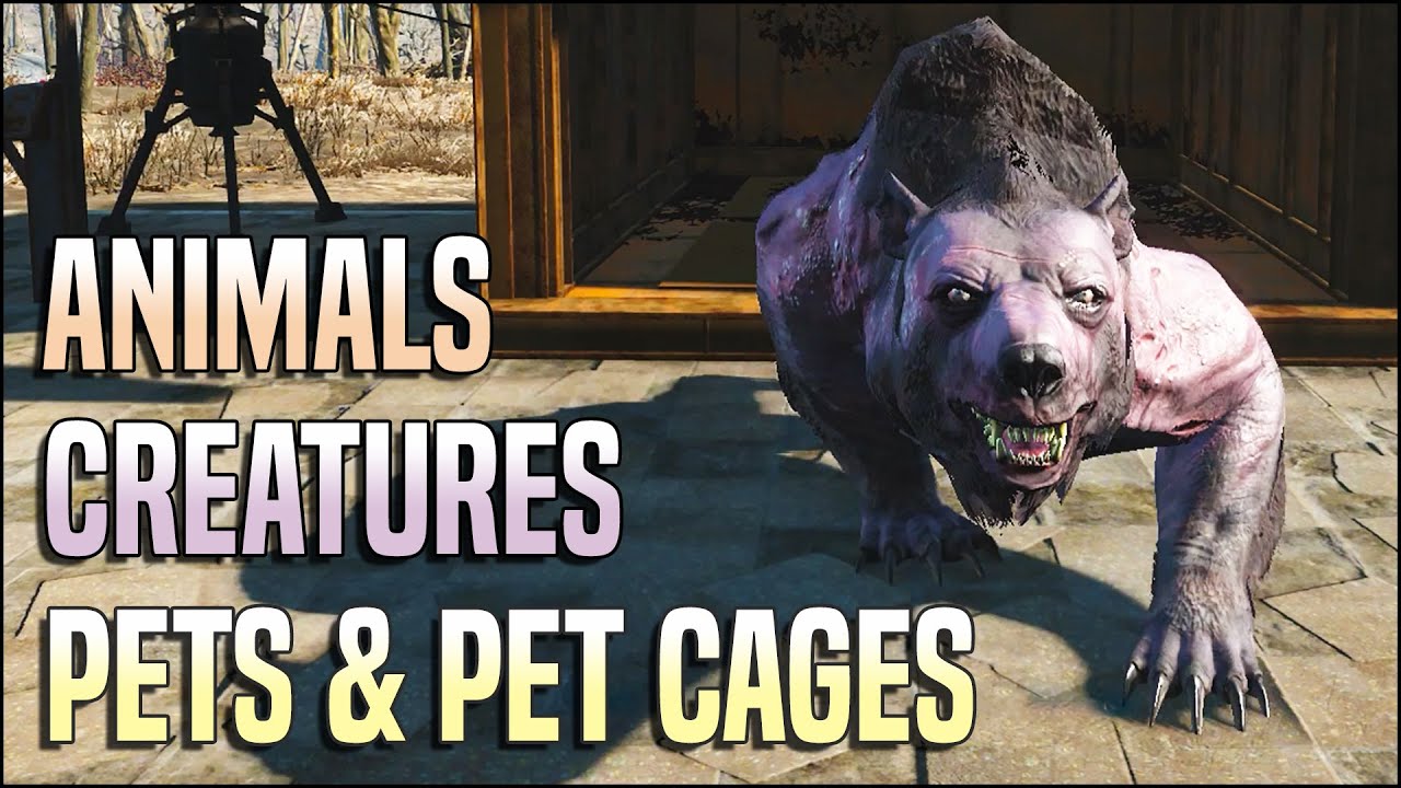 Животные, существа, питомцы и клетки для них 🐻 Fallout 4 No Mods Shop Class