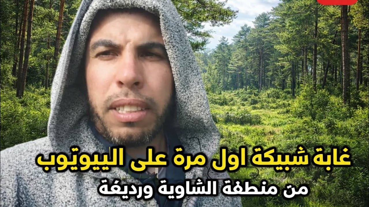 غابة شبيكة اول مرة على اليوتيوب من منطقة الشاوية ورديغة مزرعة الطبيعة 2026