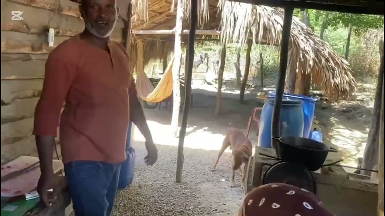 Aprendiendo hacer congri cubano con carné de chivo 🐐😋