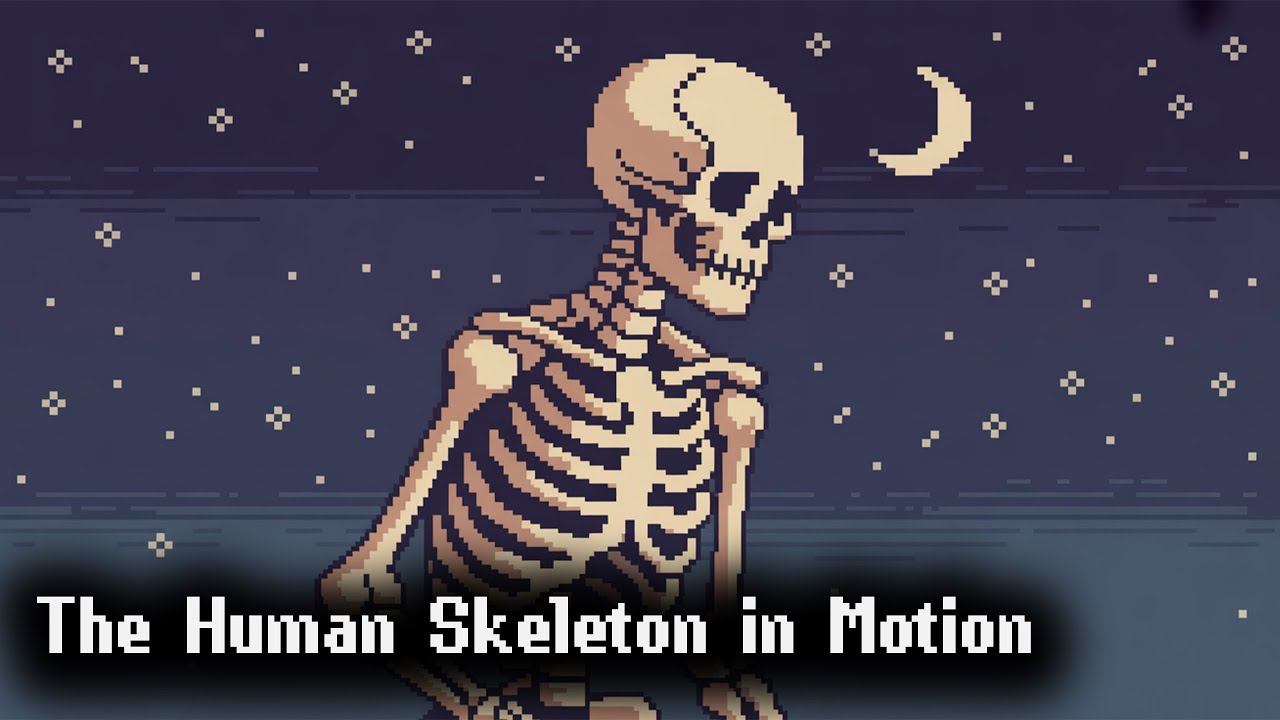 The Human Skeleton in Motion | Biomechanics Session