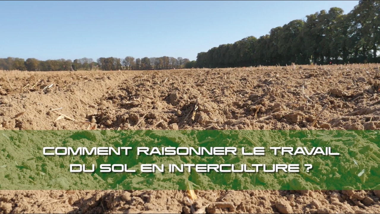 comment raisonner le travail du sol en interculture ?
