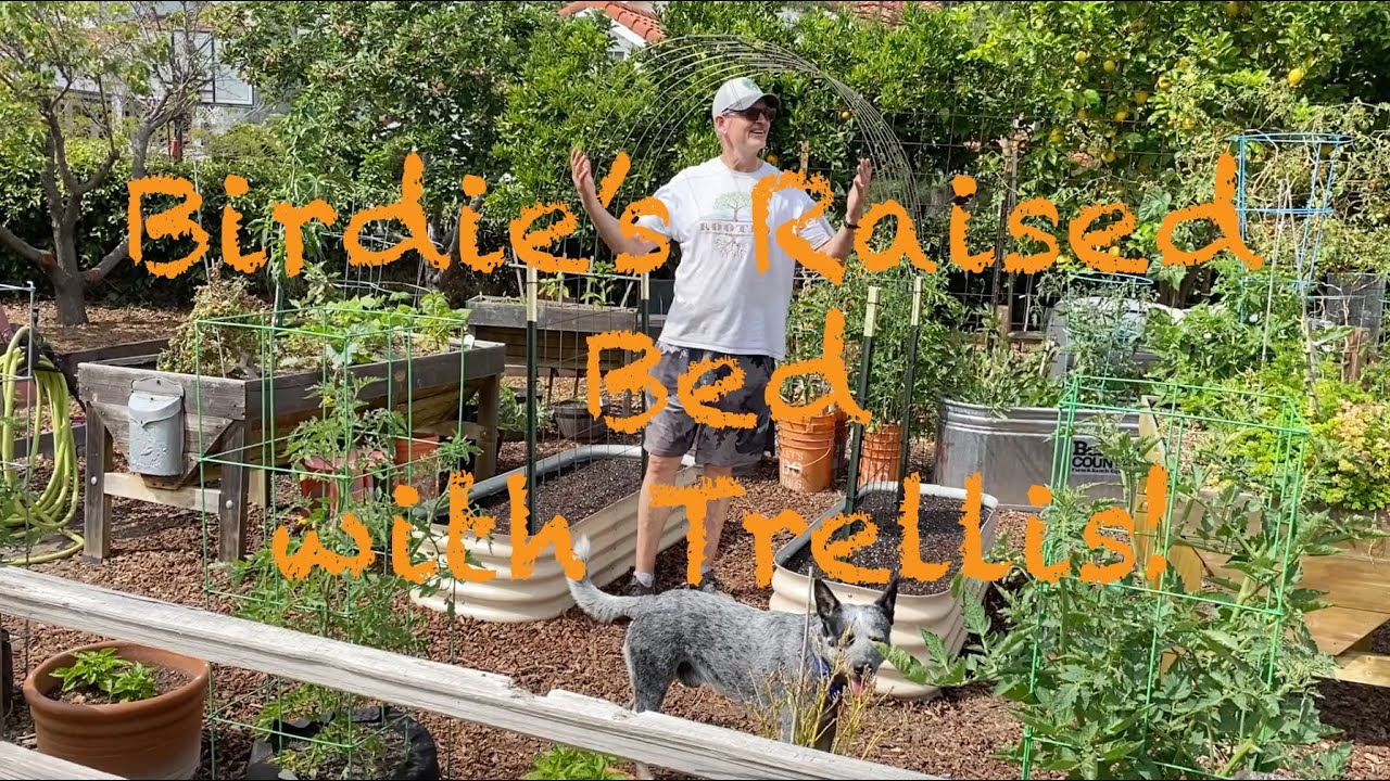 Birdies Raised Bed with Trellis