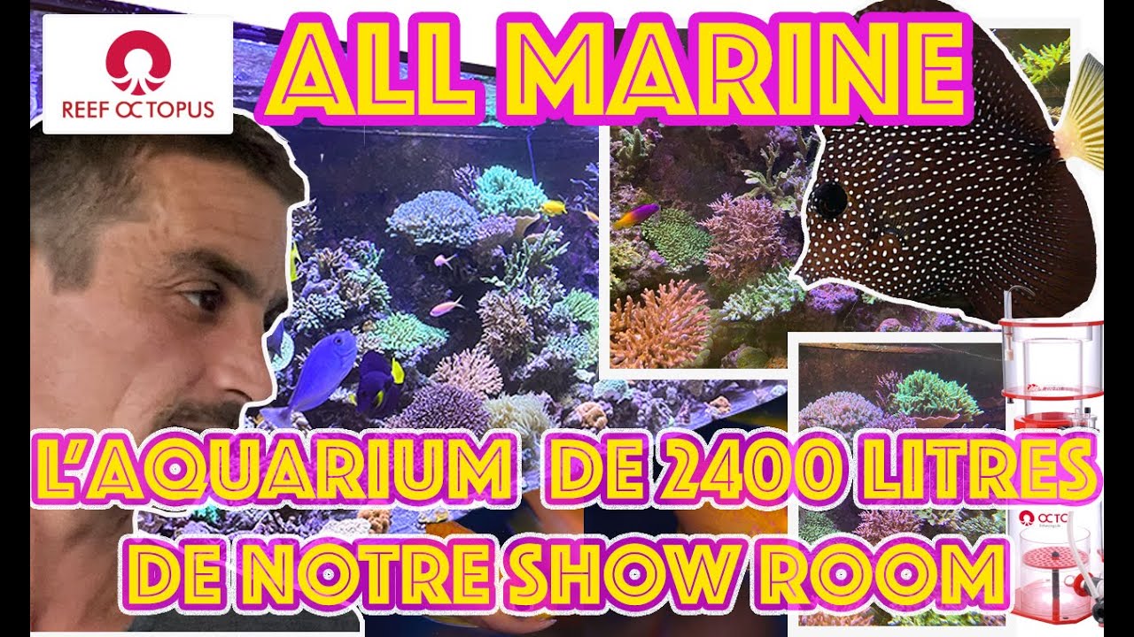 L aquarium de démonstration chez all marine @allmarine6691  2400 litres , Blaise vous dit tout...