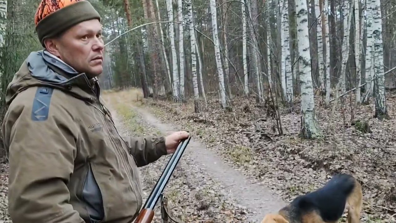 Охота на зайца беляка по чернотропу.