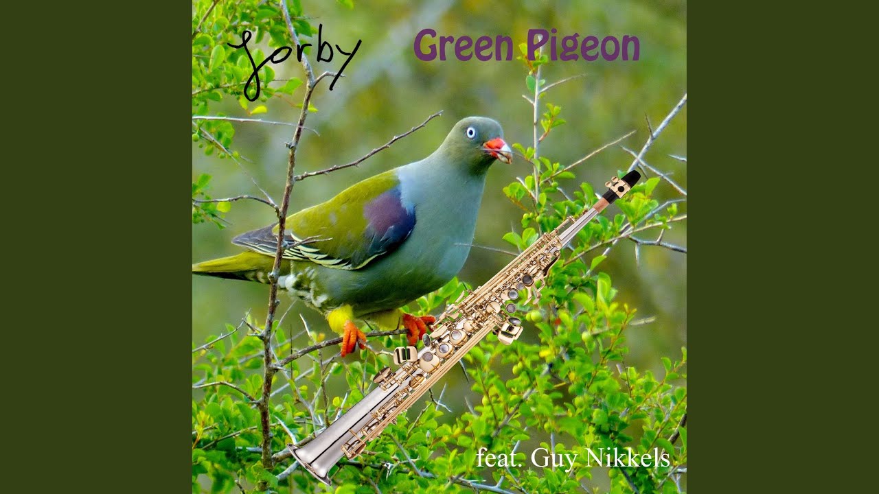 Green Pigeon (feat. Guy Nikkels)