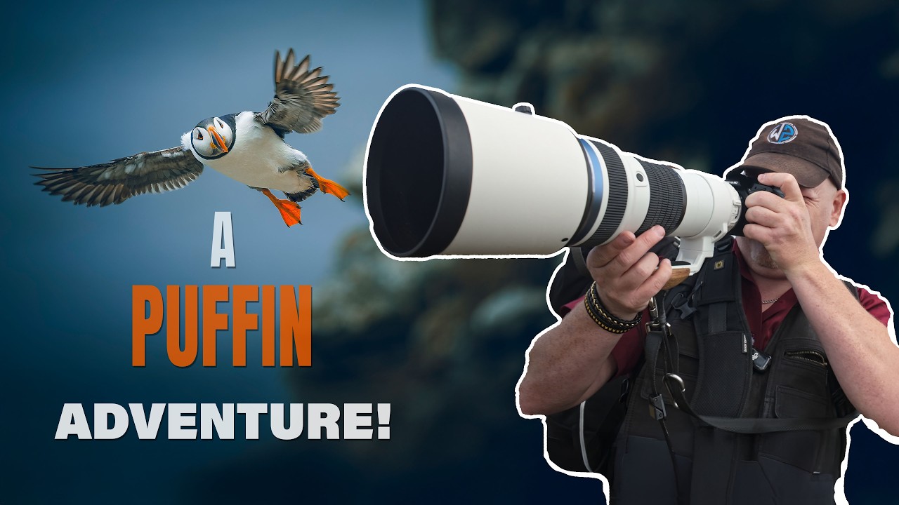 Photographing Puffins at Bempton Cliffs with the OM-1 Mark II