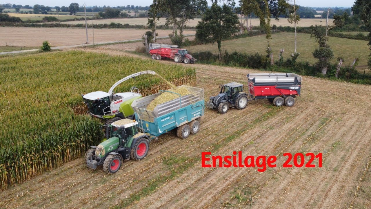 Ensilage de maïs 2k21|🌽Du champ au silo🌽