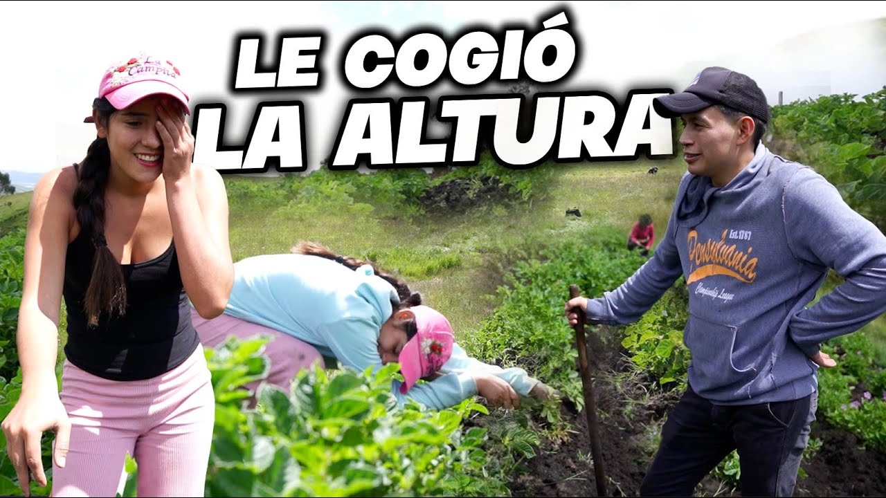 LA CAMPITA EN EL PÁRAMO | John Valverde