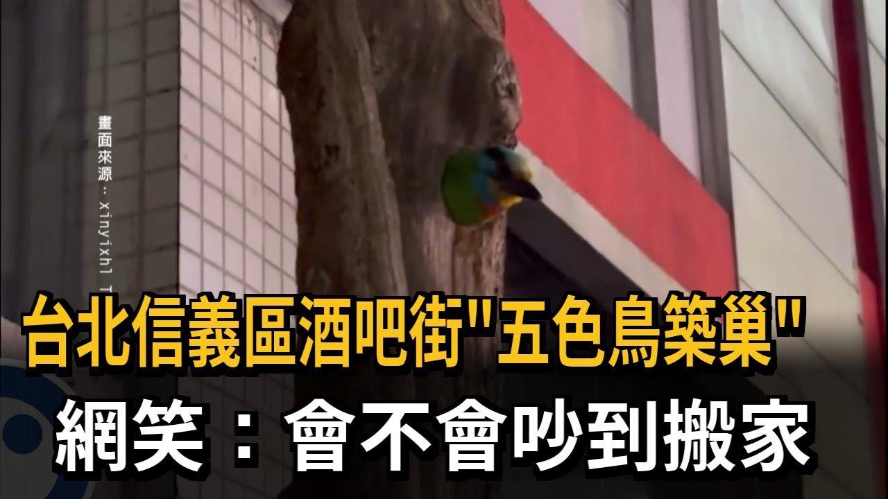 台北信義區酒吧街