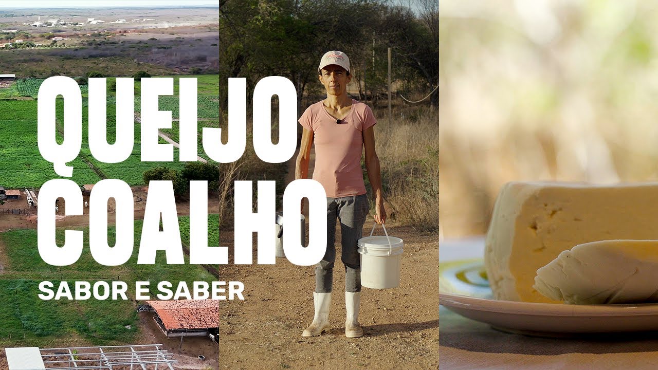 Queijo Coalho: um alimento envolvido de sabor e saber