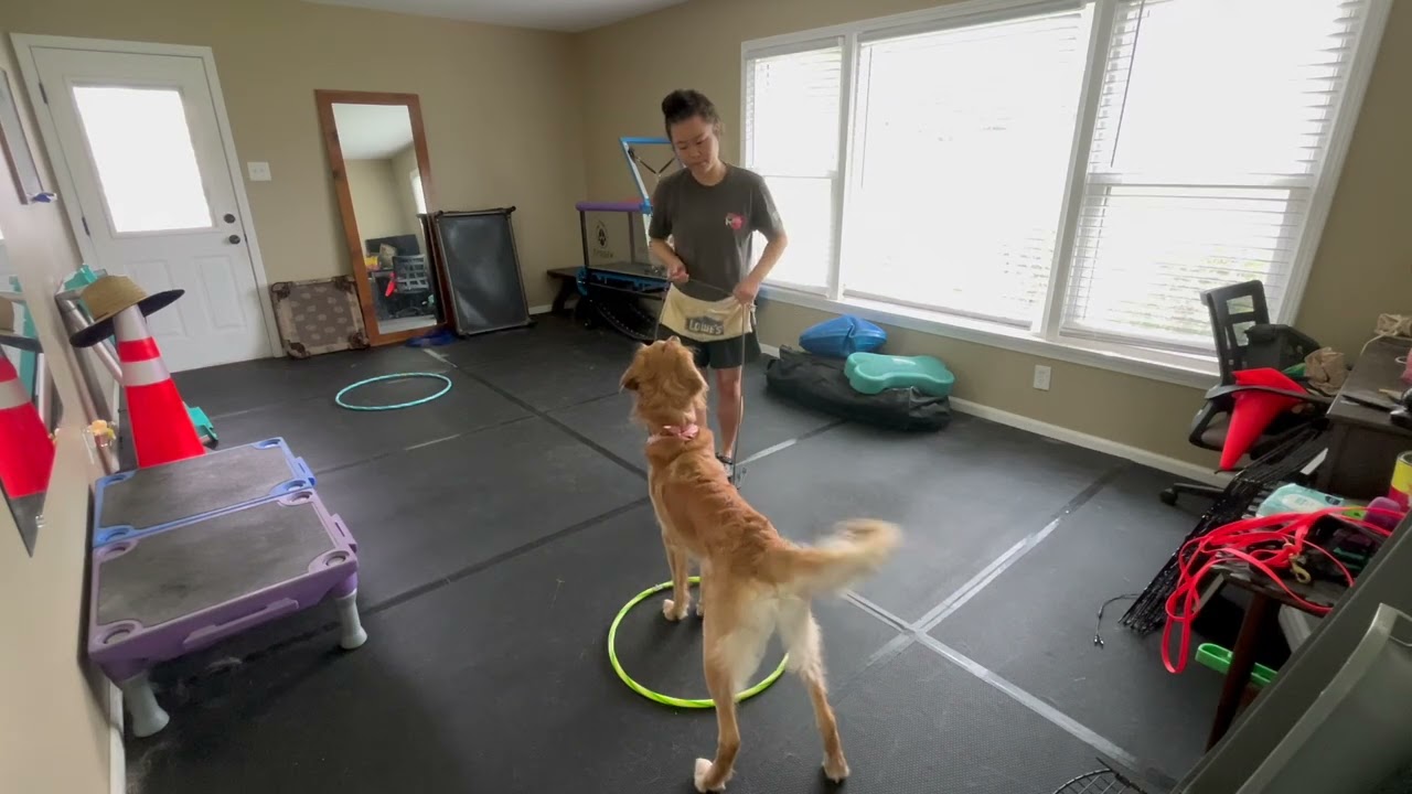 Ozzy 7/12/25 Directional Work Part 2