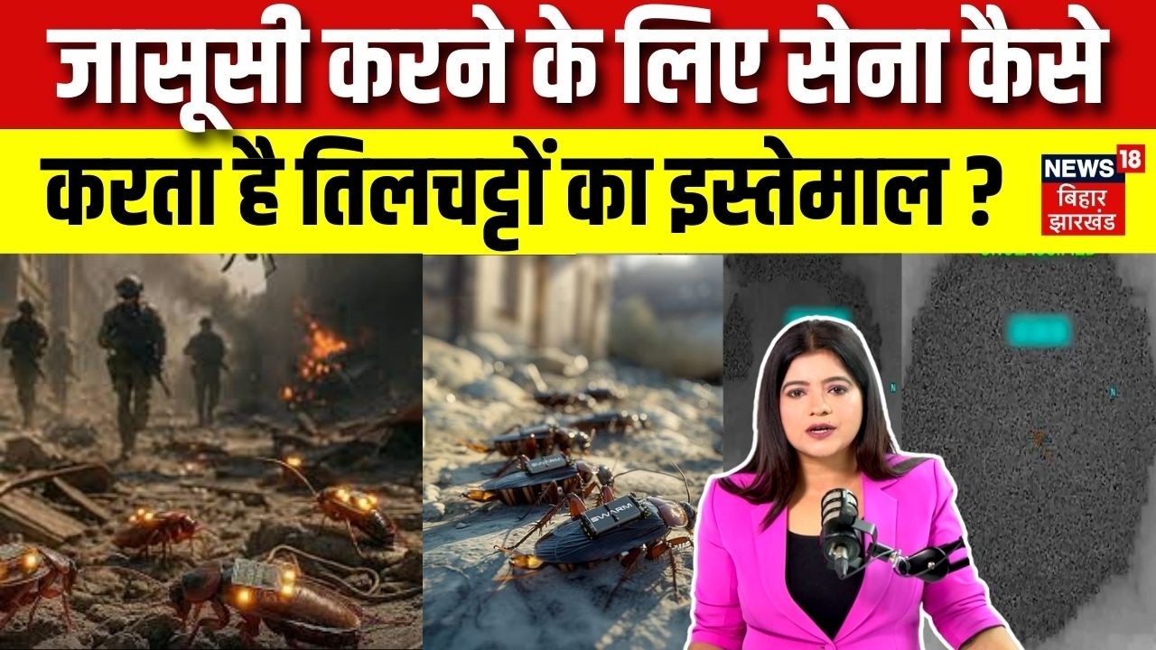Army Spy in War: जासूसी करने के लिए सेना कैसे करता है तिलचट्टों का इस्तेमाल?| Cockroaches Spy Robots