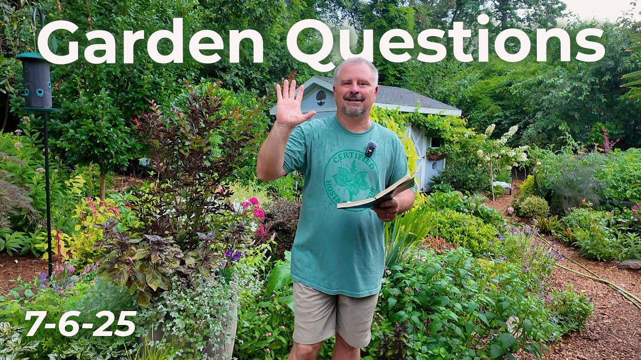 Huge Gardening Q&A: Fixing Mistakes, Pests, and Plant Problems
