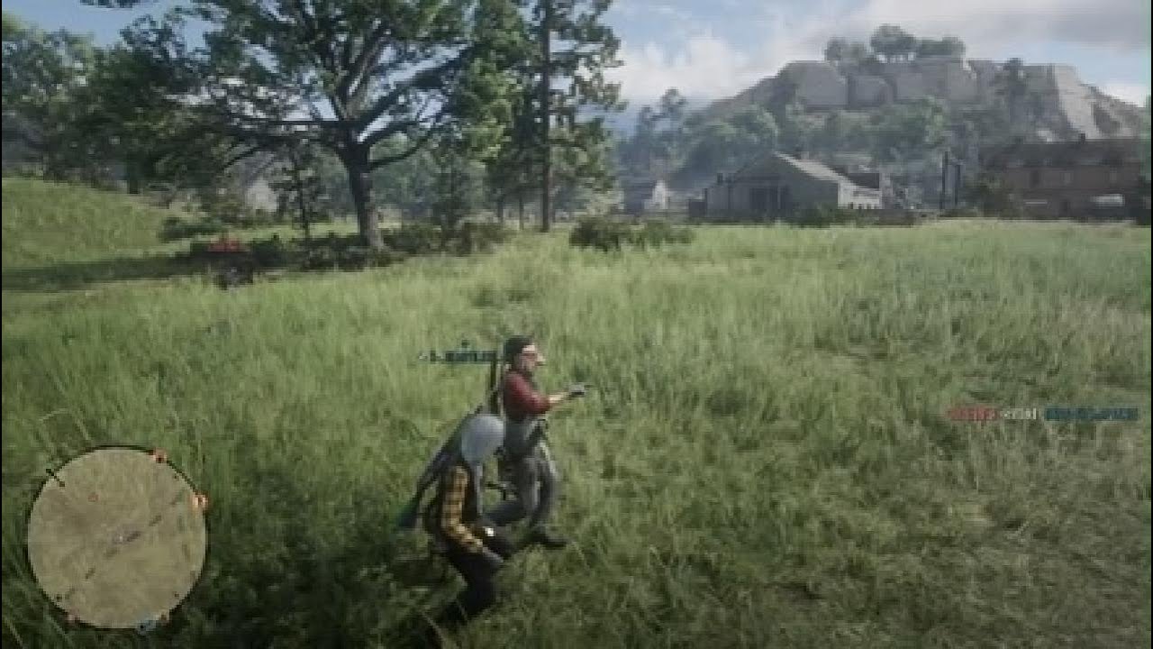 Red Dead Redemption 2_20251030233137