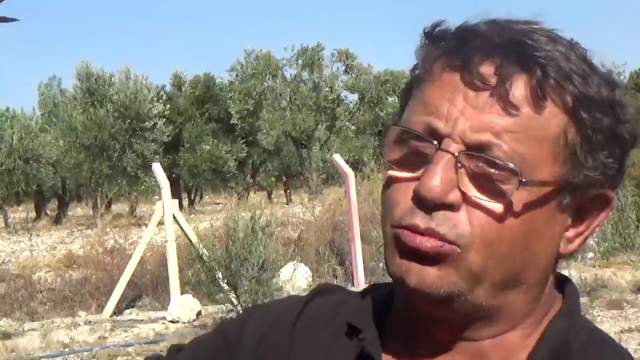 Soma - Zeytin - Kayısı  - Armut - Erik - Nar - Ceviz Yetiştiriciliği - Damlama Sulama