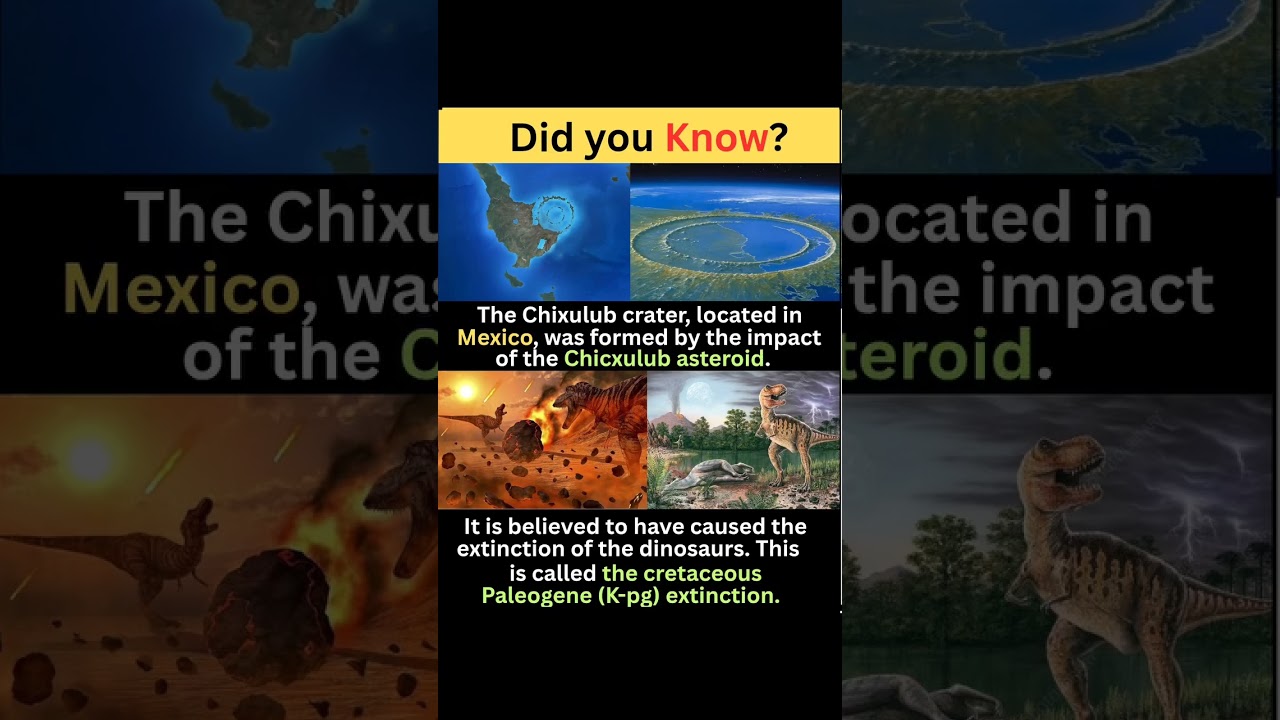 The Cretaceous-Paleogene (K-Pg) extinction event.