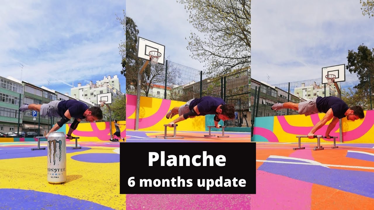 Planche 6 month progress / October 2021 - April 2022