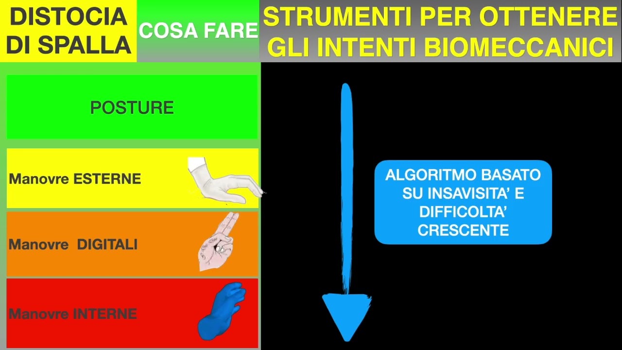 Distocia di spalla: le manovre interne